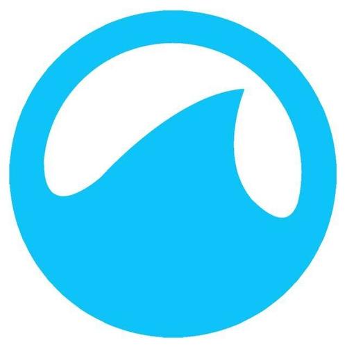 上海蓝鳍信息科技 扬帆信息科技蓝海的创新力量
